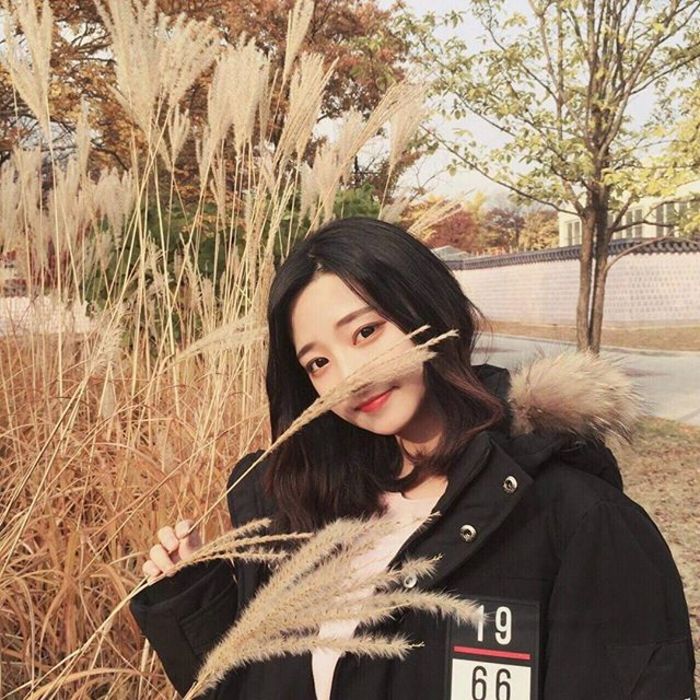 高荷惠（身份：会津女医生、曾被武田观柳禁锢制鸦片） - 游戏直播实时在线观看 - 客户端看剧